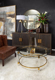 Acrylic/Metal Coffee Table
