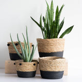 Aldis Natural Baskets
