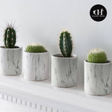 Ceramic White Marble Pot