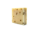 Tea Tree & Mint Exfoliant Bar